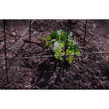 18362 - Vegie Tower insitu